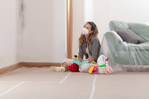 Reliable Mold Remediation contractor in Hendersonville, TN by WQB Mold Removal